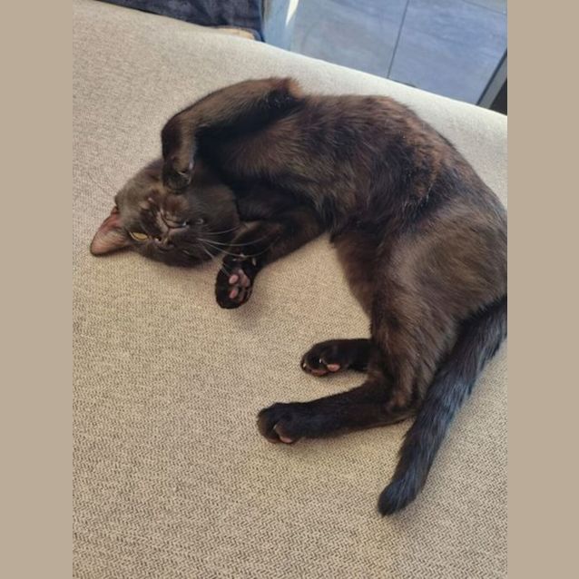 Photo of Persephone