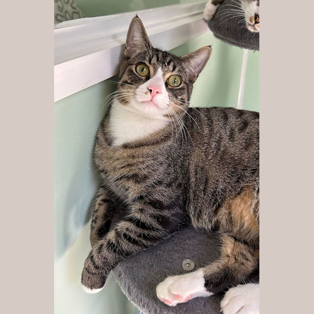 Photo of Squirt
