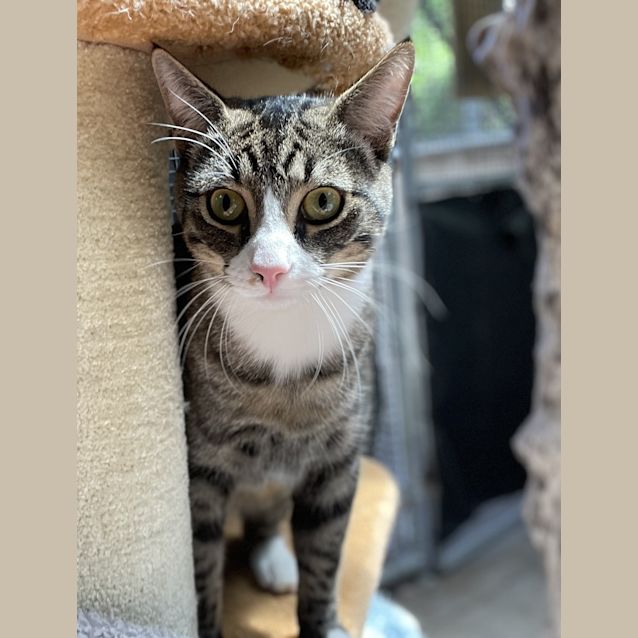Photo of Squirt