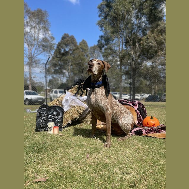 Photo of Hunter