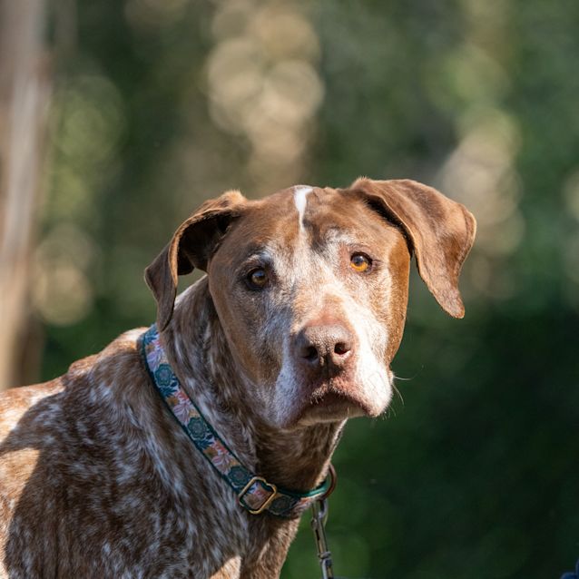 Photo of Hunter