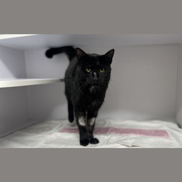 Photo of Void