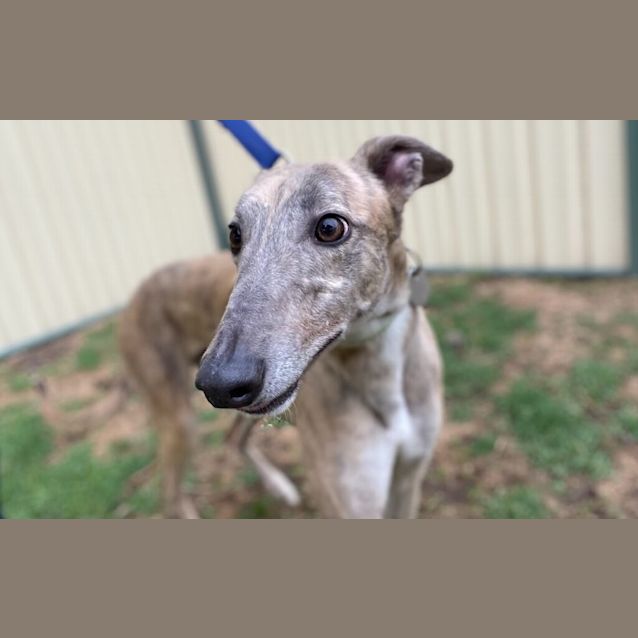 Photo of Jill