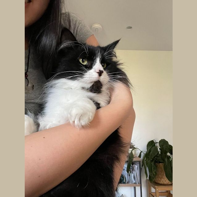 Photo of Peaches