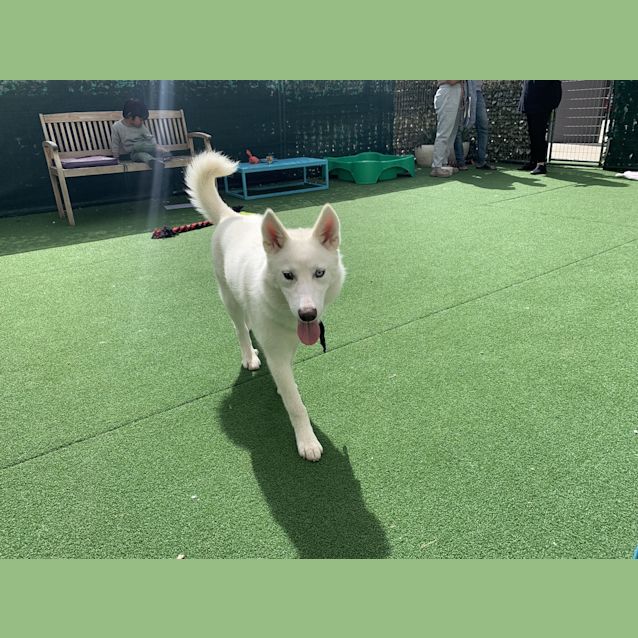 Photo of Ghost