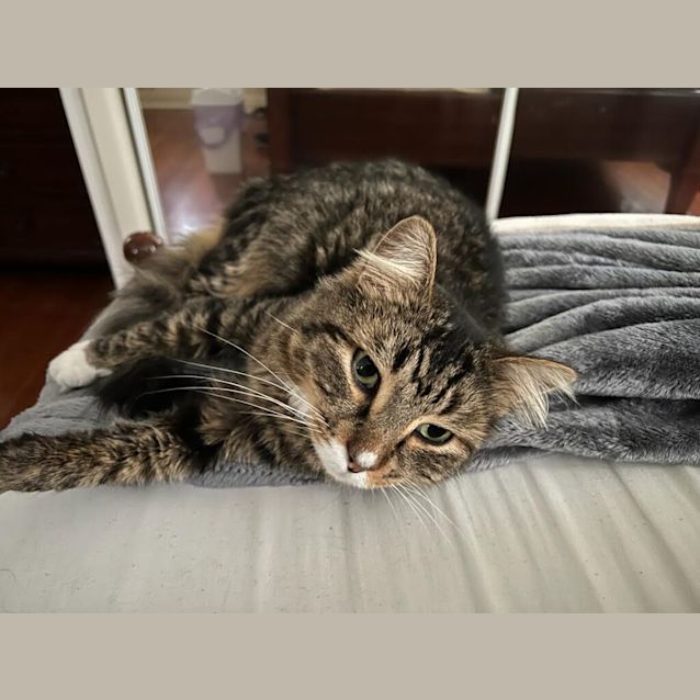Photo of Phil (Was Timothy)
