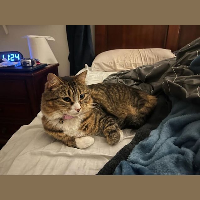 Photo of Lil (Was Tabitha)