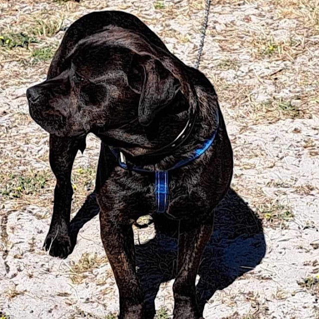 Photo of Mannie Boy