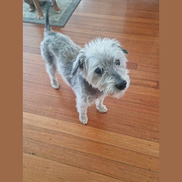 Photo of Jason Statham