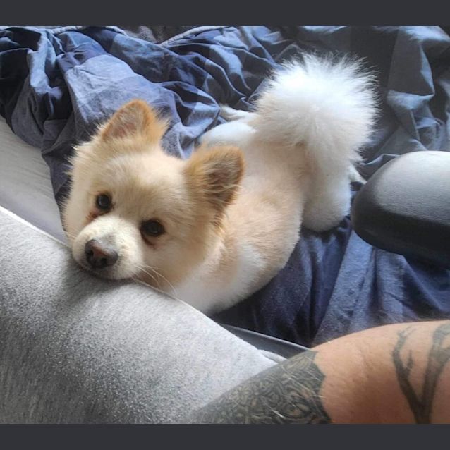 Photo of Ginkgo 🤗💛