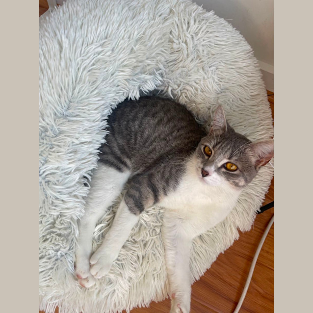 Photo of Randy ! Meet Me At Petstock Keysborough Store