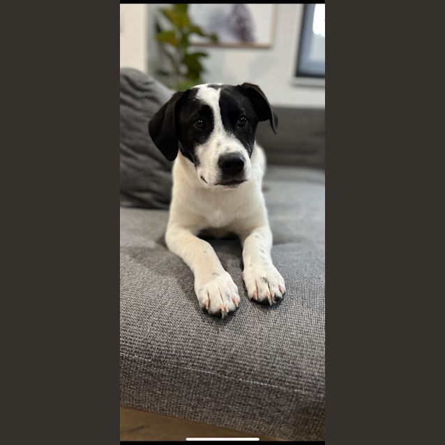 Photo of Aria 