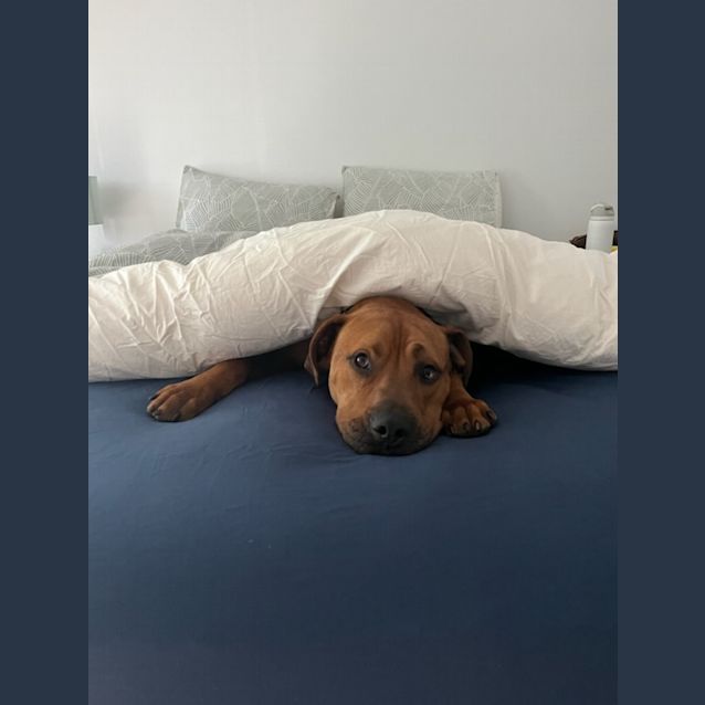 Photo of Doc