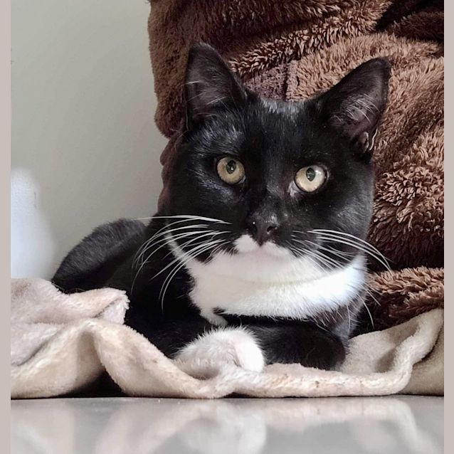 Photo of Maverick