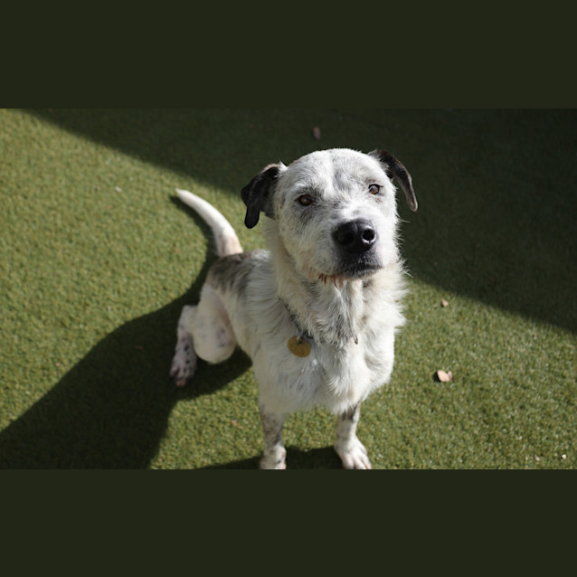 Photo of Sully