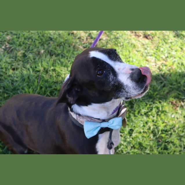 Photo of Cash