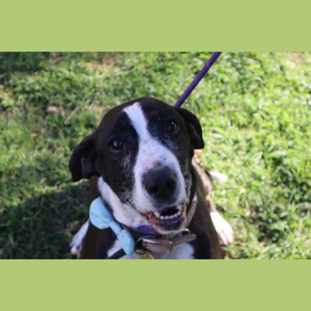Photo of Cash