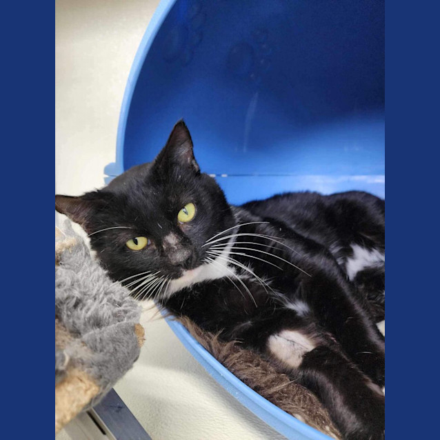 Photo of 👾Ziggy F02614👾