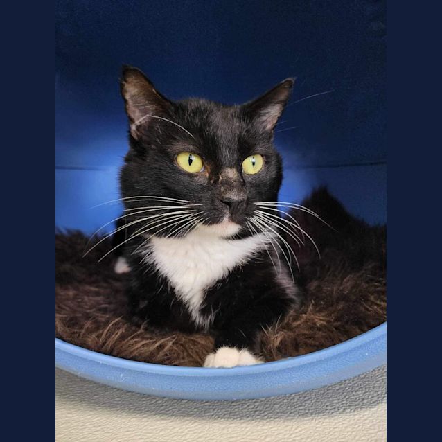 Photo of 👾Ziggy F02614👾