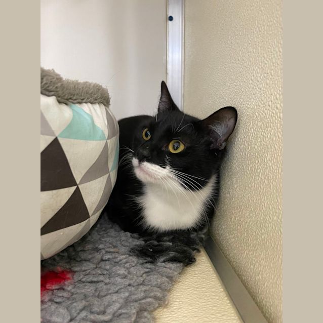 Photo of 🍩 Tyler F02575 🍩