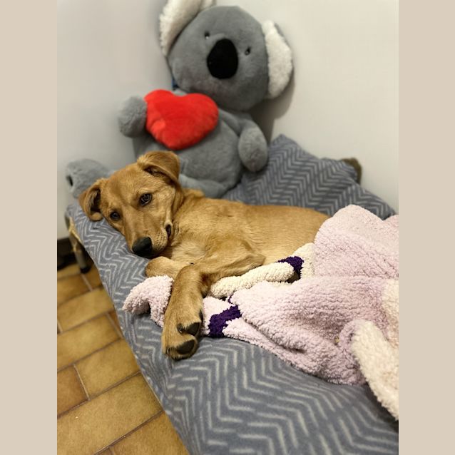 Photo of Fynn