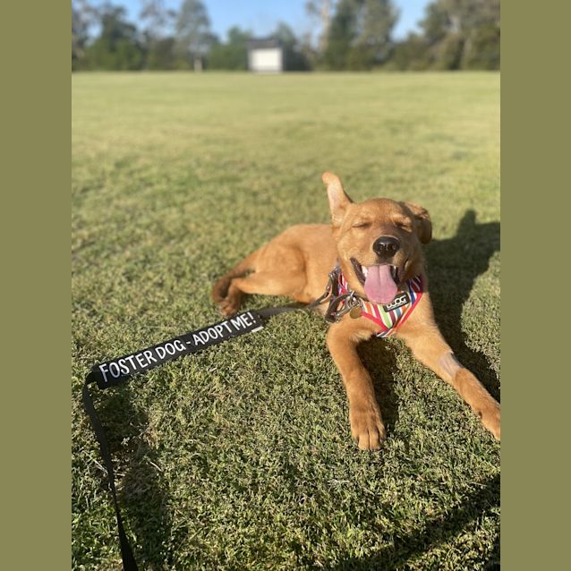 Photo of Fynn