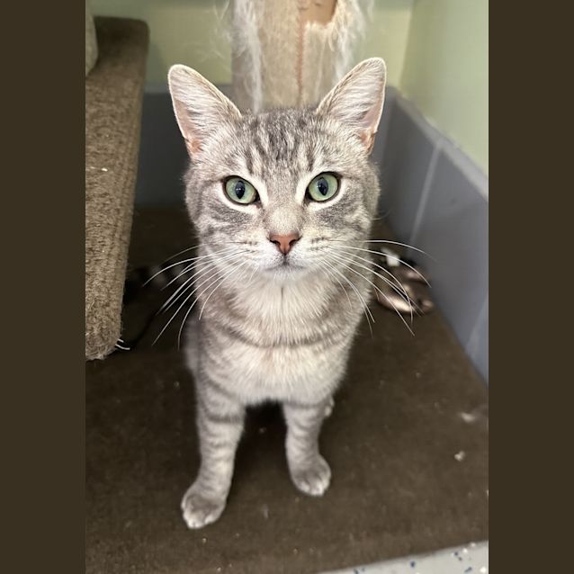 Photo of Balthazar