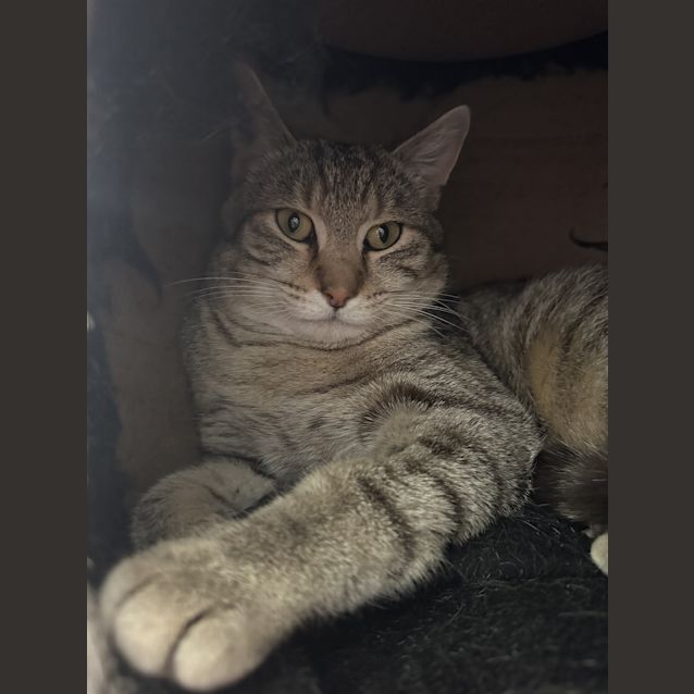 Photo of Rupert