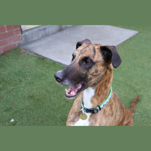 Photo of Chase