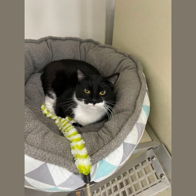 Photo of 🍩 Tyler F02575 🍩