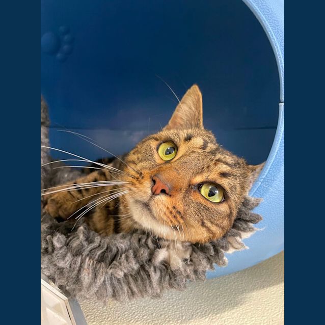 Photo of 🌻George F02679 🌻