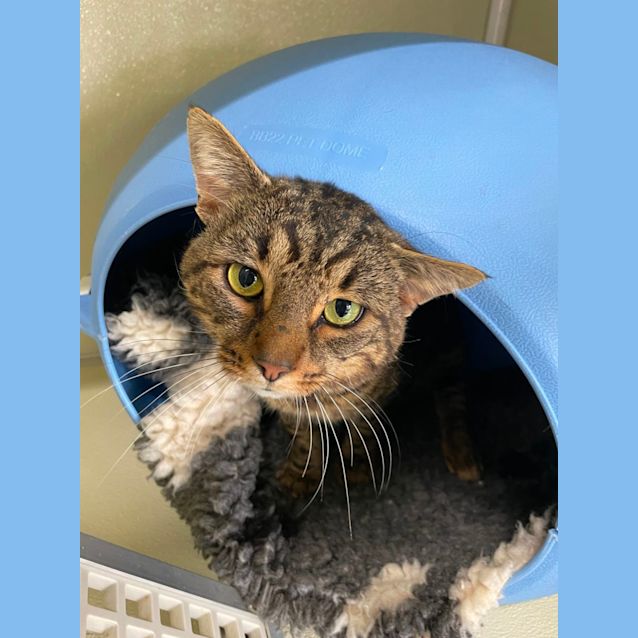 Photo of 🌻George F02679 🌻