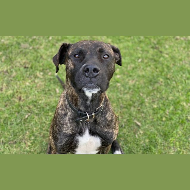 Photo of Hamish