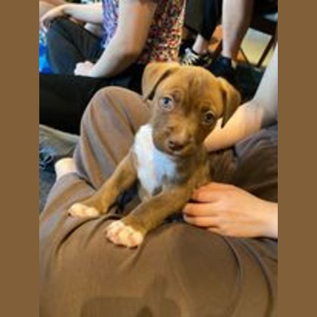 Photo of Buzz