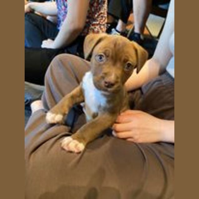 Photo of Buzz