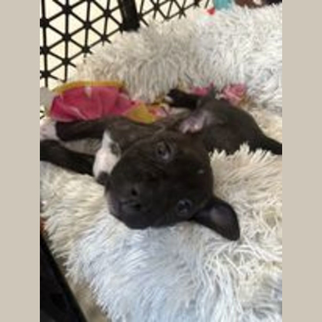 Photo of Maggie May