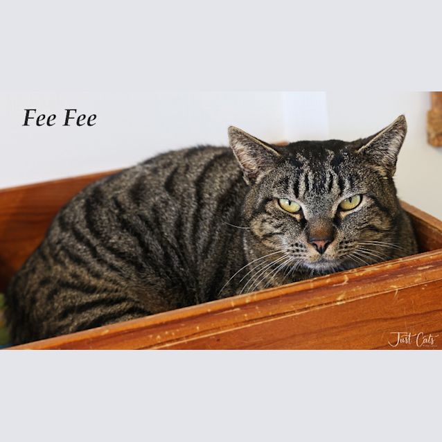 Photo of Fee Fee