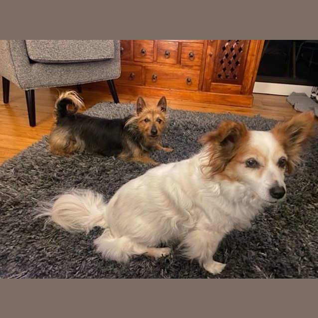 Photo of Cookie And Jenna Picton