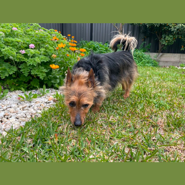 Photo of Cookie And Jenna Picton