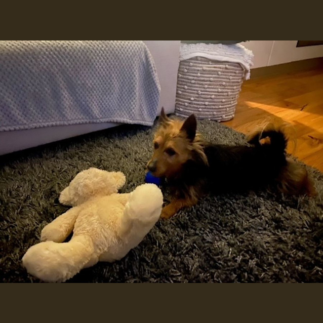 Photo of Cookie And Jenna Picton