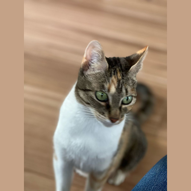 Photo of Regina