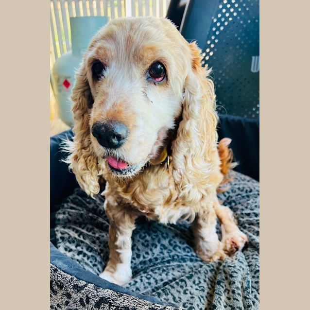 Photo of Bonnie And Monty