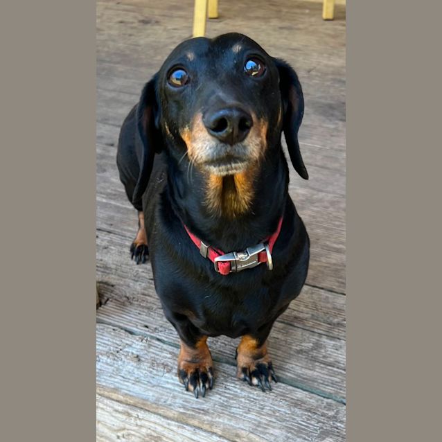 Photo of Bonnie And Monty