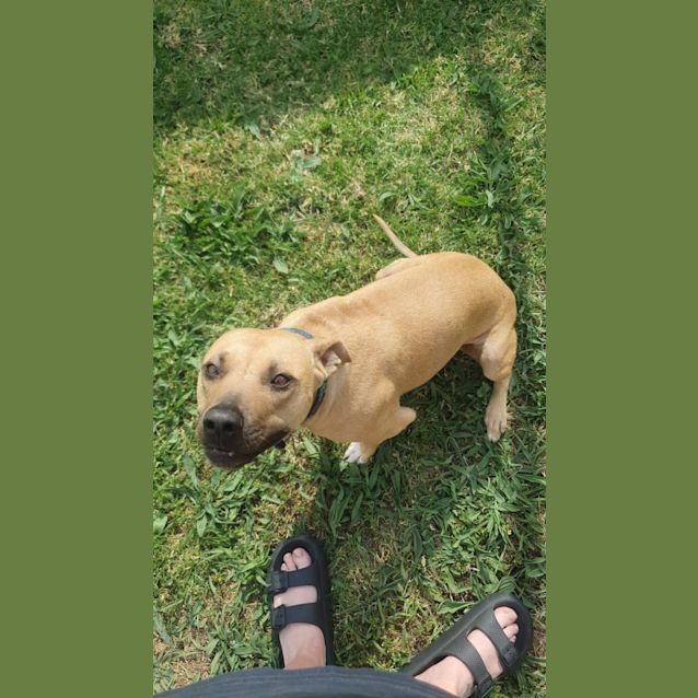 Photo of Avia