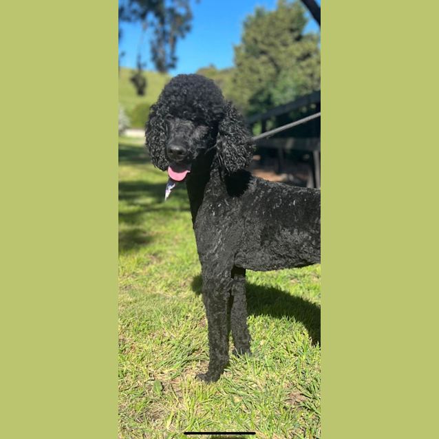 Photo of Chloe 