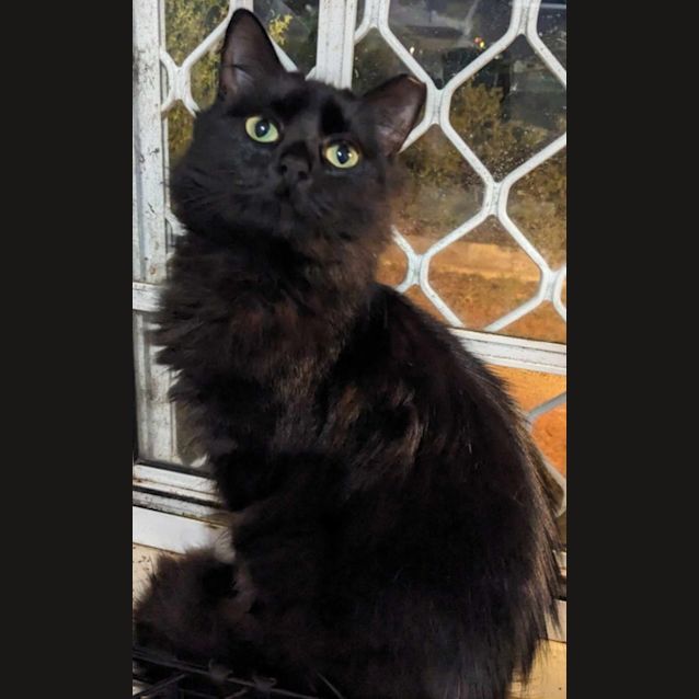 Photo of Circe
