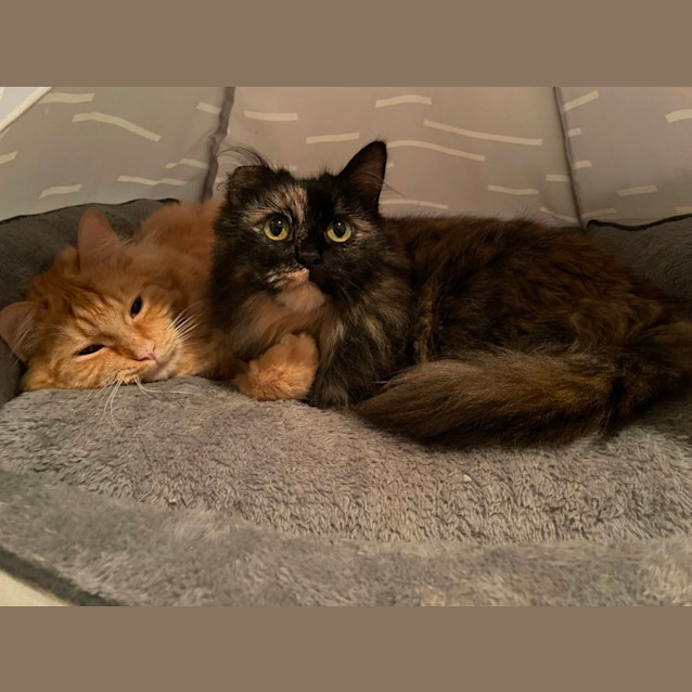 Photo of George And Mimi