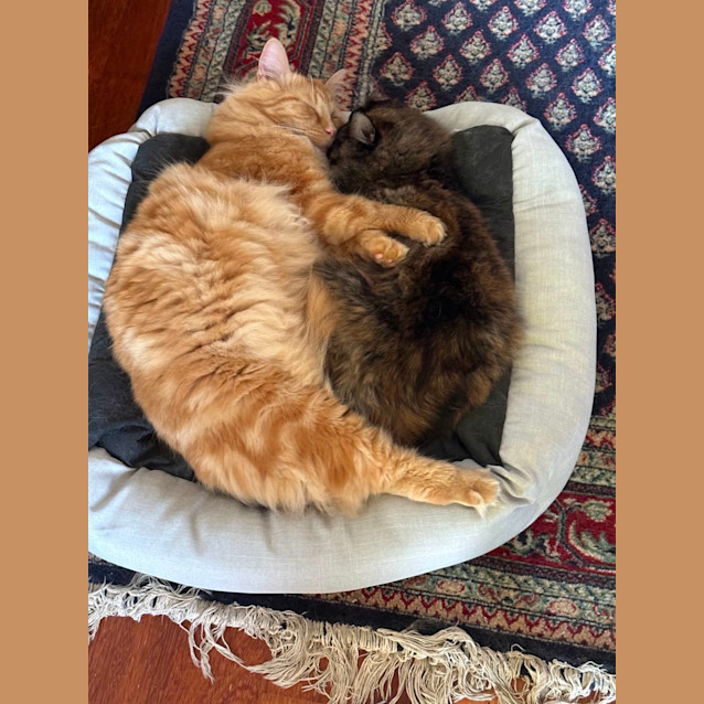 Photo of George And Mimi