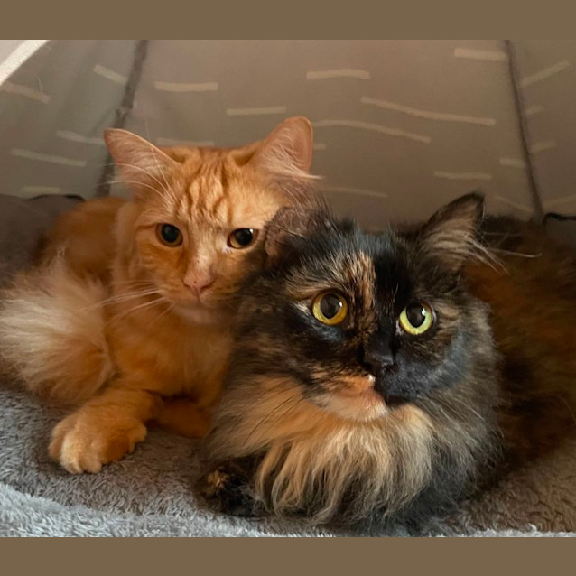 Photo of George And Mimi