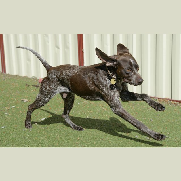 Photo of Mav
